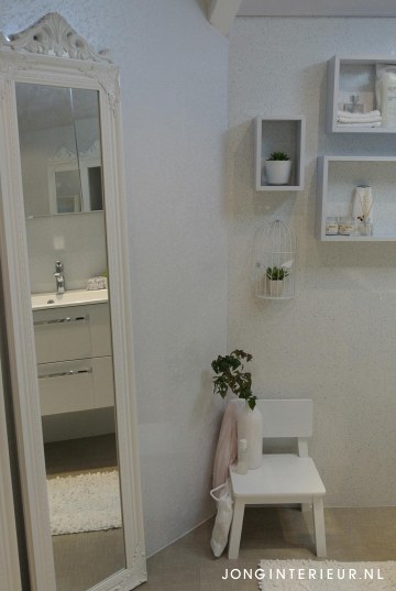 Badkamer Leeuwarden